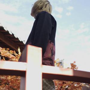 东北老妓女露脸对白在线播放
