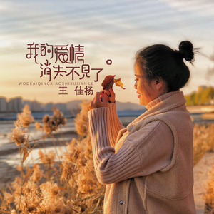 东北老妓女露脸对白在线播放
