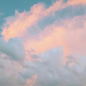 东北老妓女露脸对白在线播放
